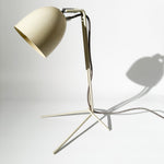 Load image into Gallery viewer, Metallic table lamp