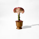 Load image into Gallery viewer, Gilde Handwerk flower pot