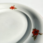 Porcelain plates
