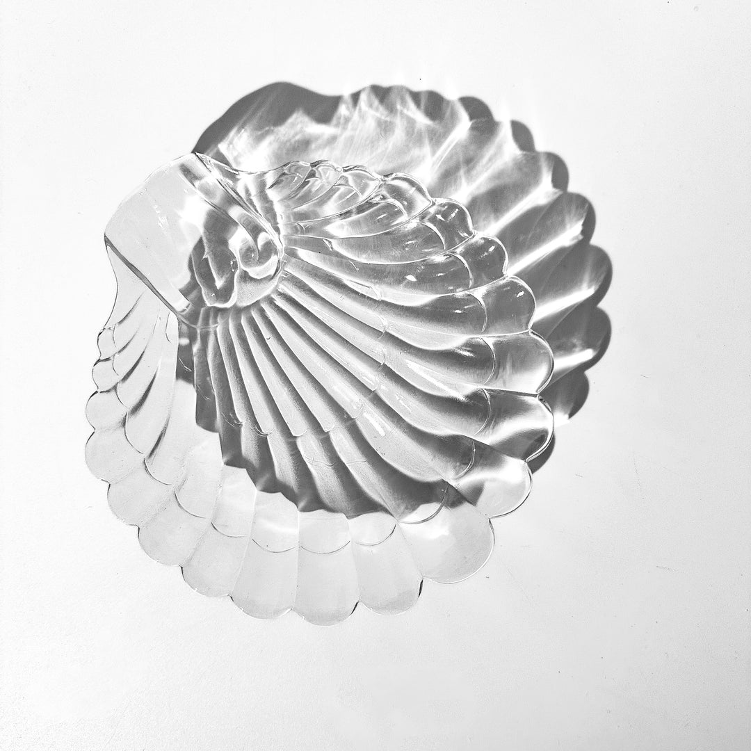Shell glass dish